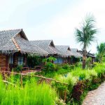 Top 5 homestay ở Cần Thơ có view đẹp lung linh nhất Không gian Mekong Silt Ecolodge