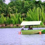 Top 5 khu du lịch sinh thái ở Cần Thơ thiên nhiên ưu đãi nhất Khu du lịch sinh thái Bảy Tiễn